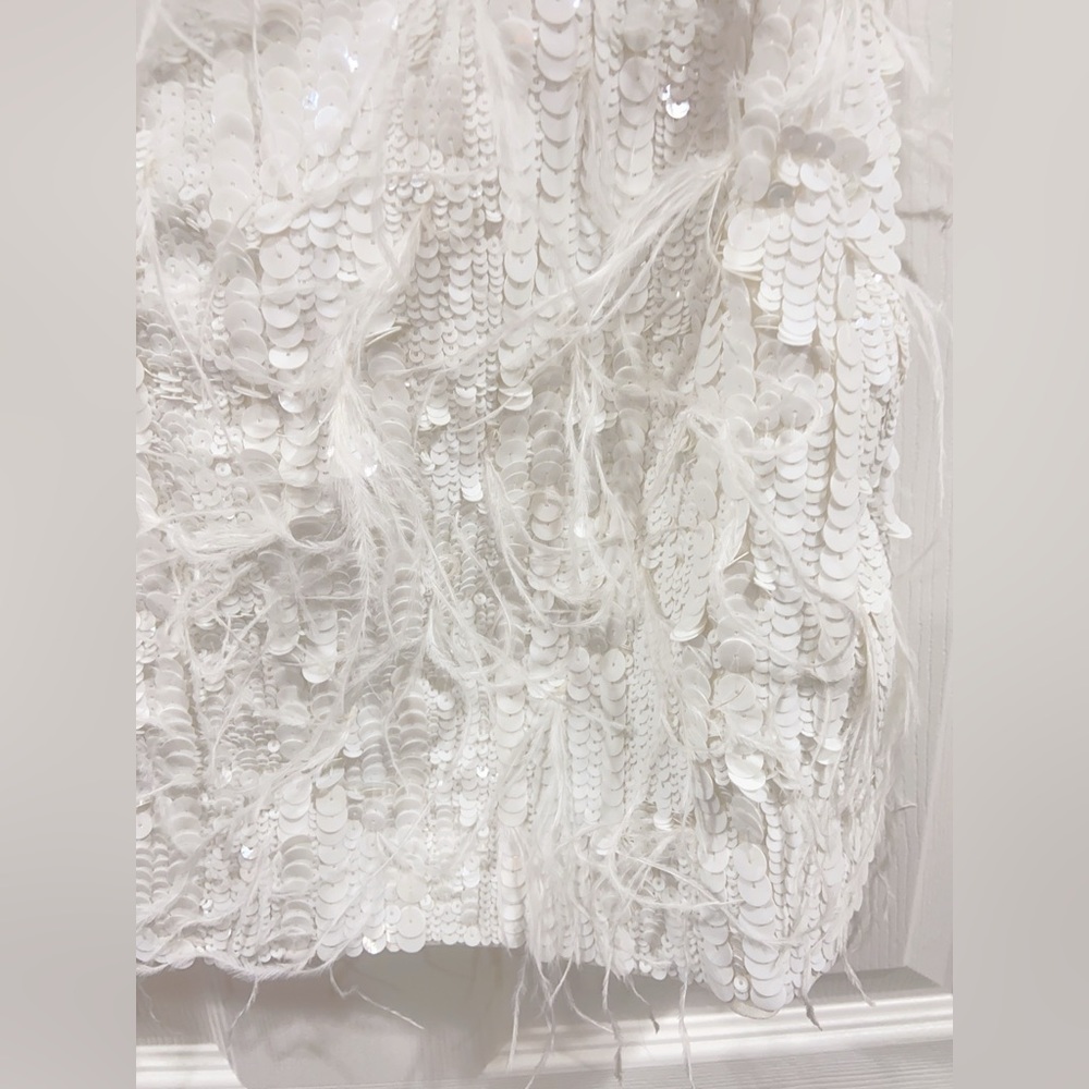 NWT Retrofete Anastasia Sequin Feather Dress - Picture 11 of 16